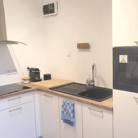 Ferienwohnung Le Paseo Troyes Exterior foto