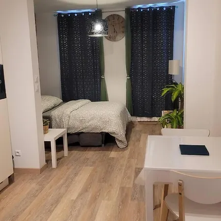 Ferienwohnung Le Paseo Troyes Exterior foto